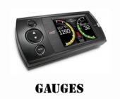 gauges369